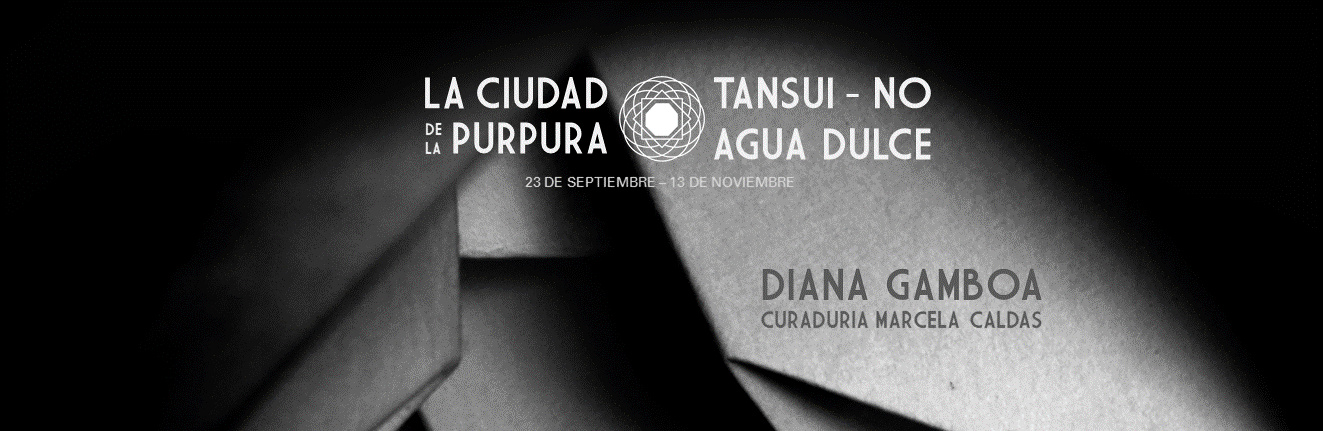 Boletín de prensa - Ciudad de la Púrpura - Diana Gamboa.pdf