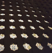 mini conferencia jerónima celosia.png